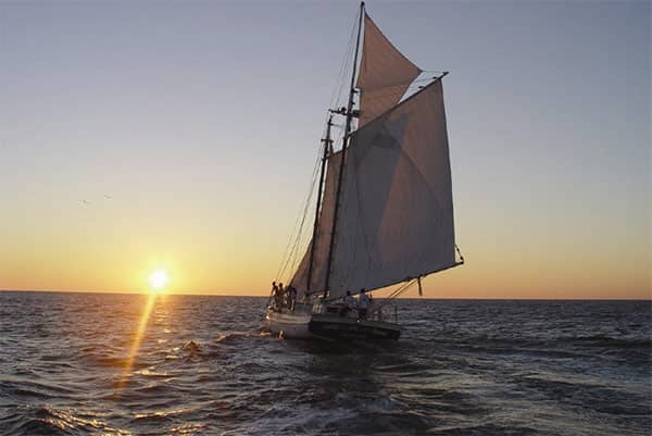 Sunset Cruise