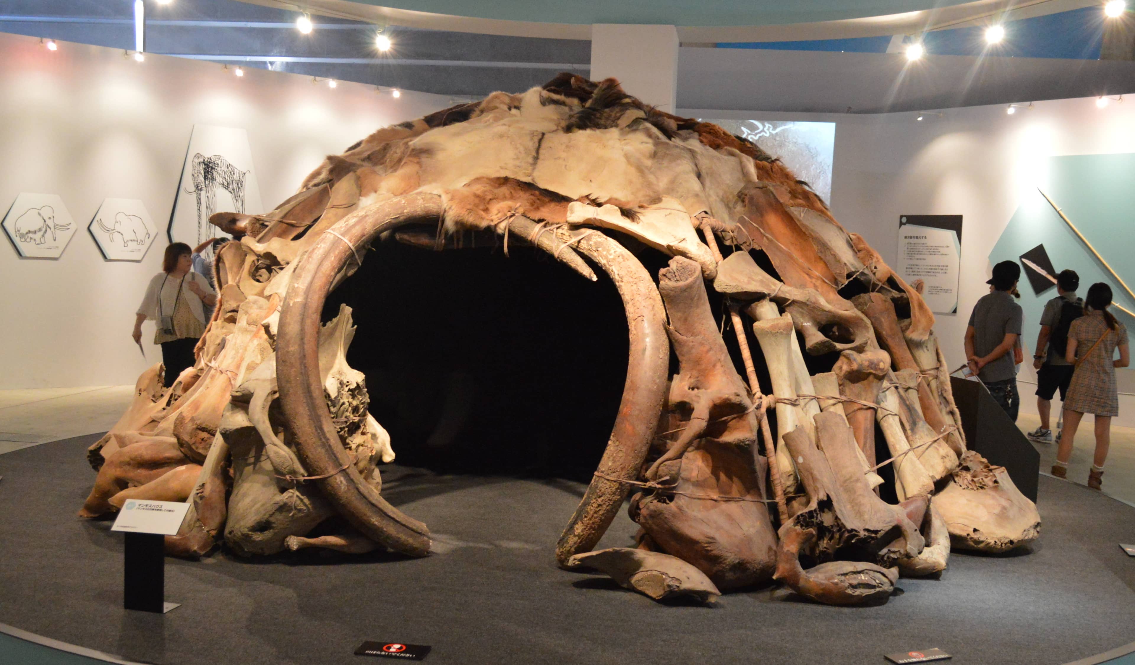 Historical Museum Exhibits