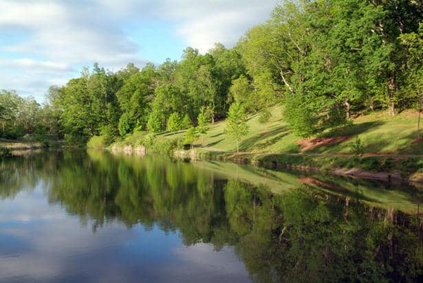 Arboretum & Pond