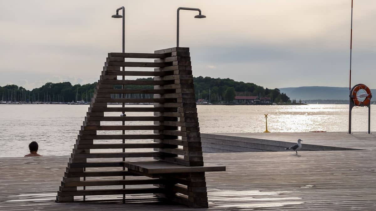 Diving Board Thrills