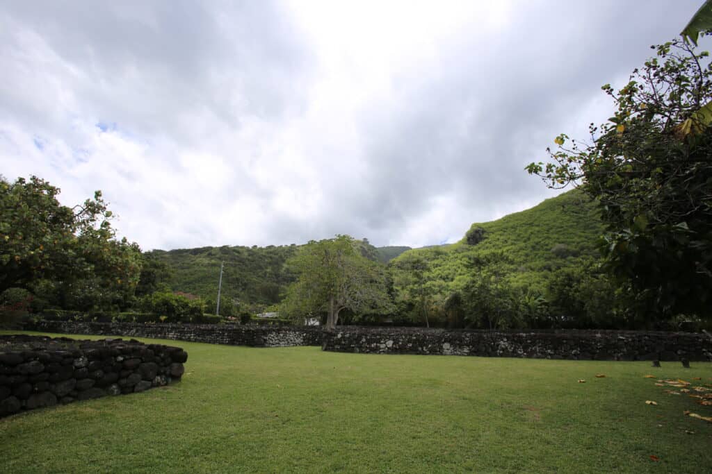 Peaceful Natural Setting