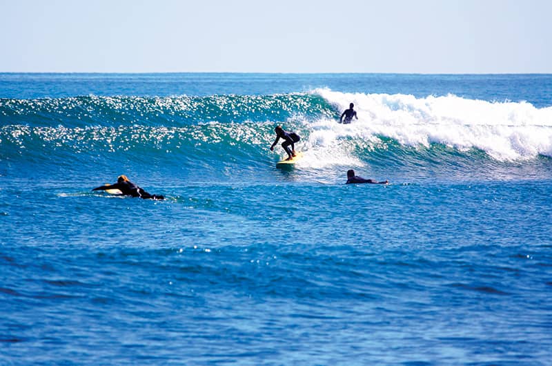 Surfing Waves