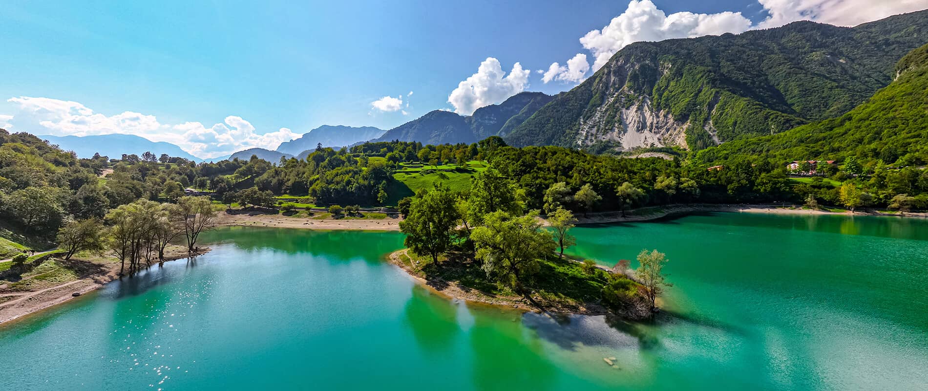 Lush Greenery