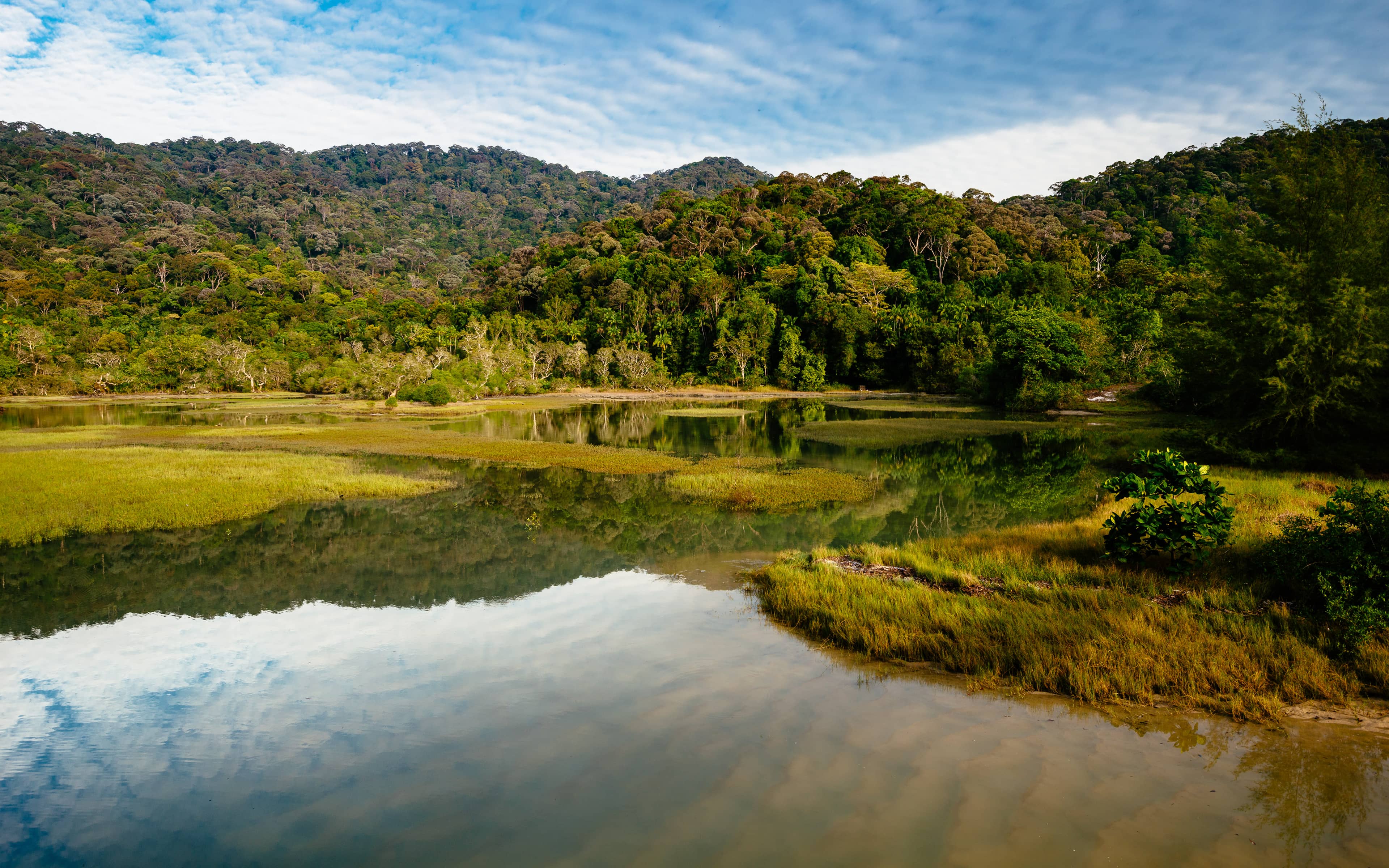 Meromictic Lake