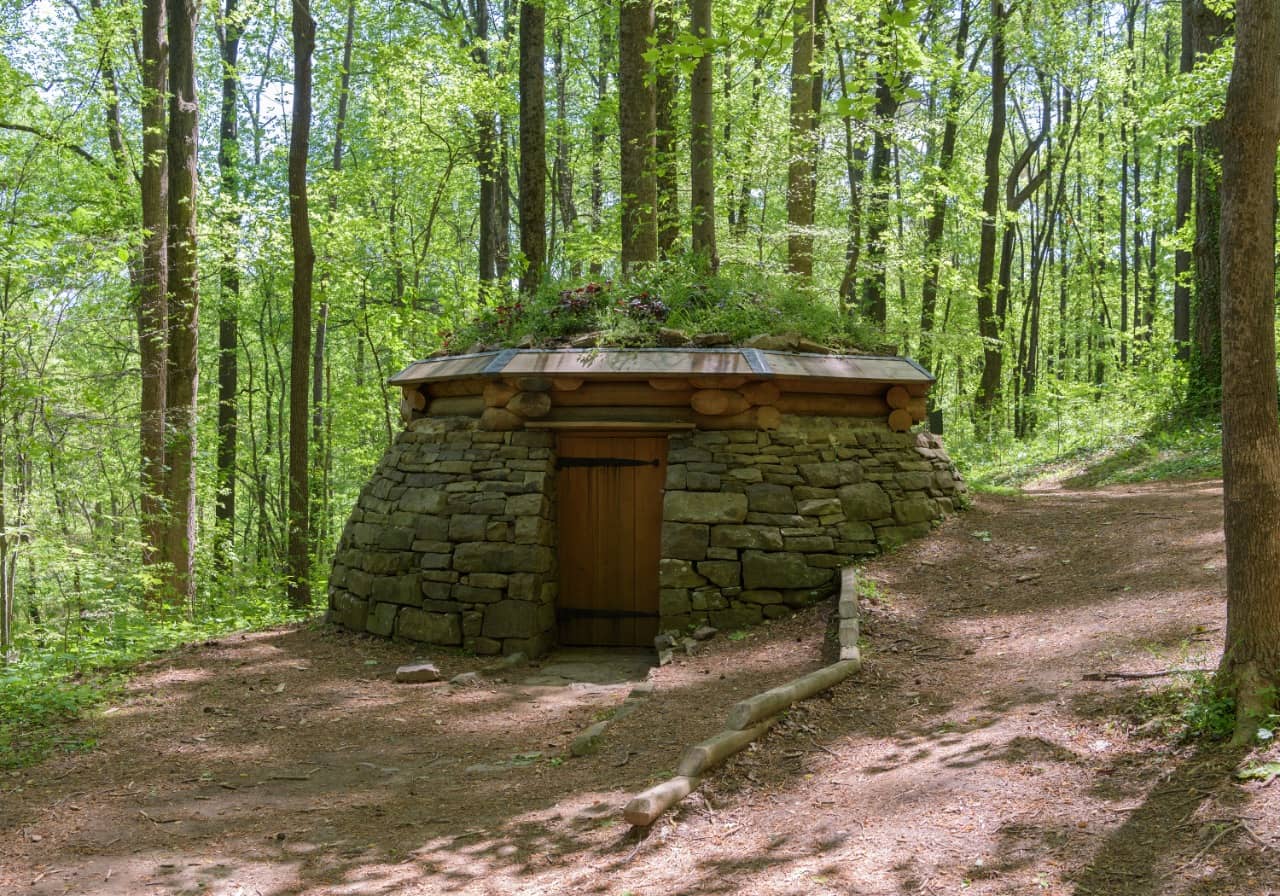 Cloud Chamber of the Trees and Sky