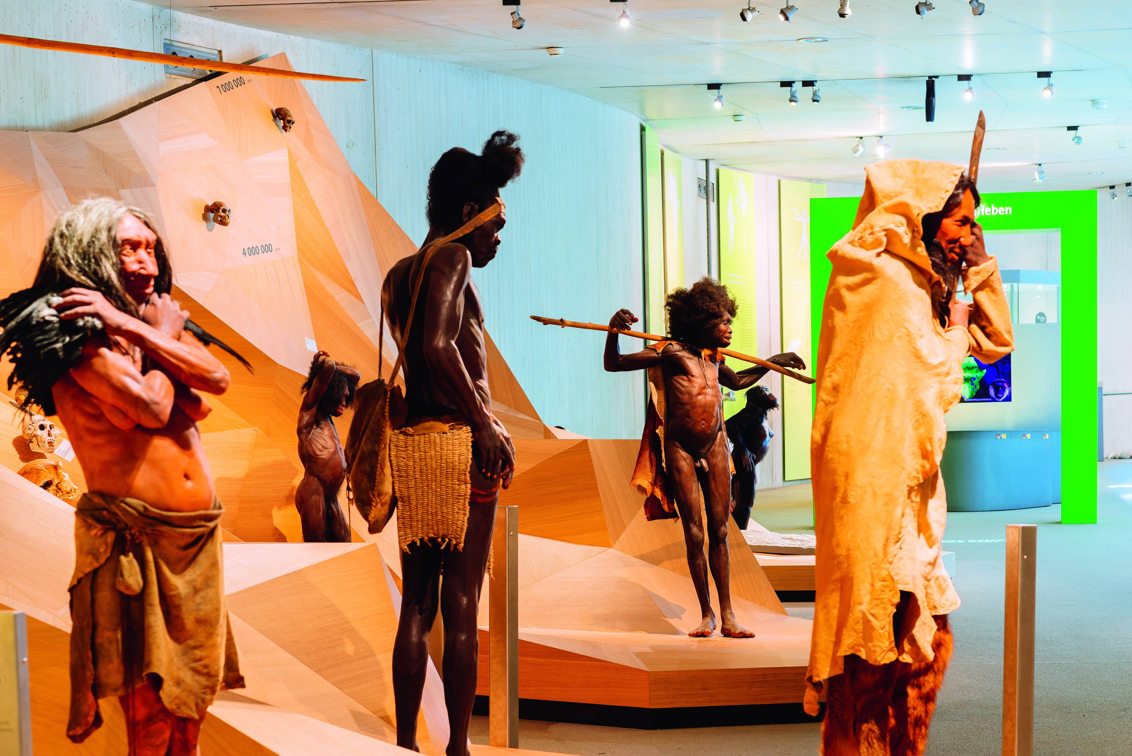 Neanderthal Exhibit