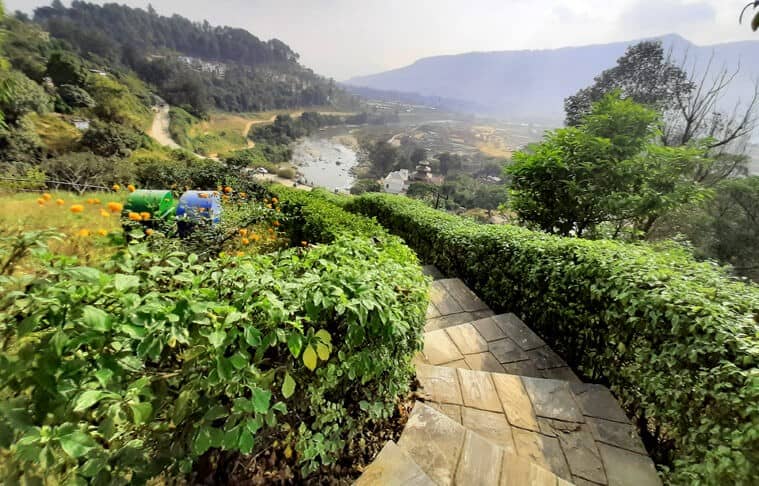 Lush Greenery & Gardens