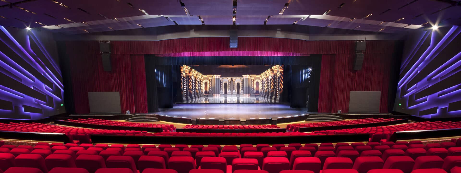 Concerts & Live Performances