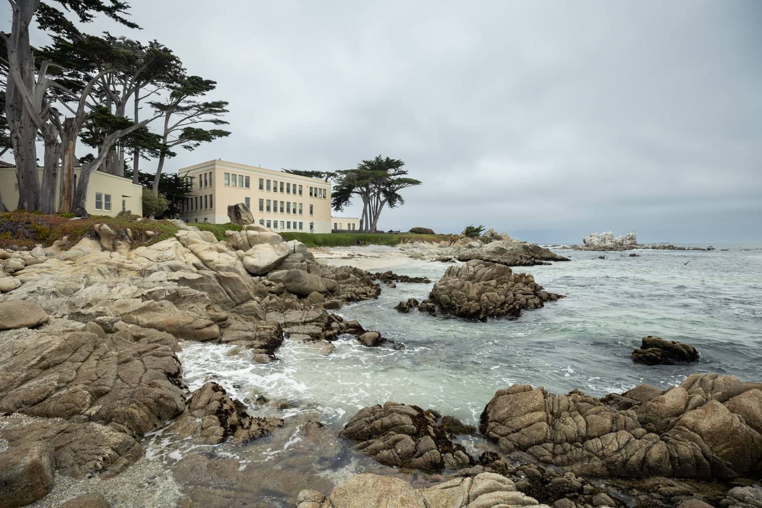Marine Biology Research