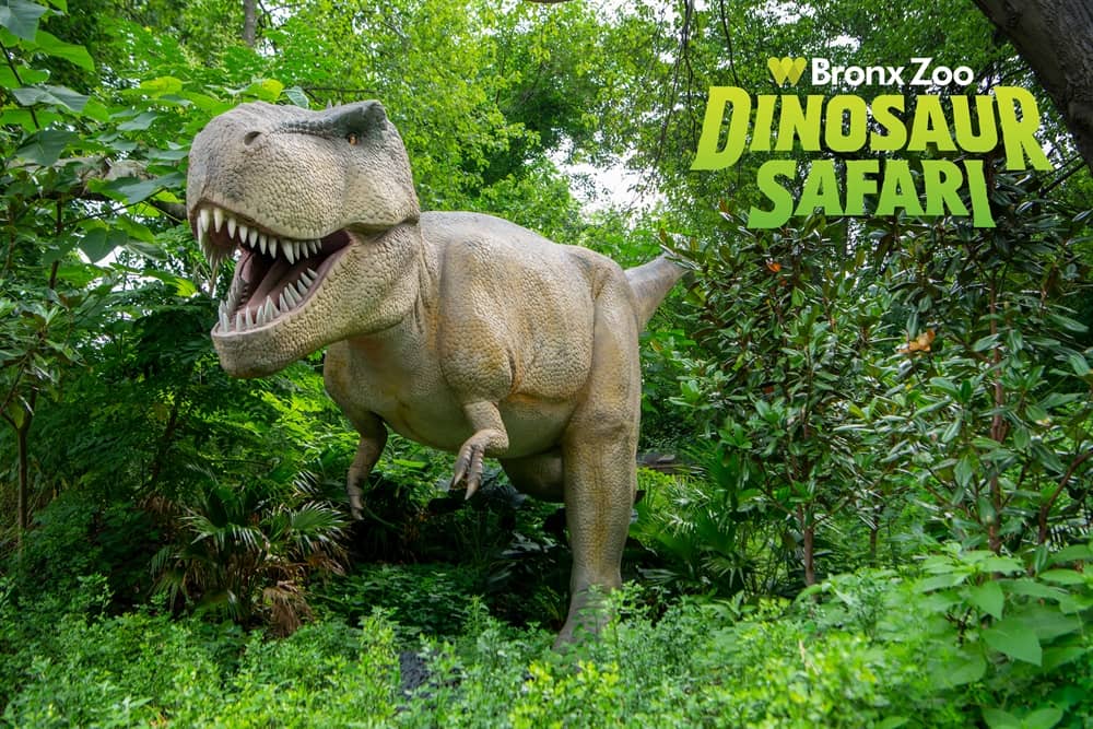 Dinosaur Safari