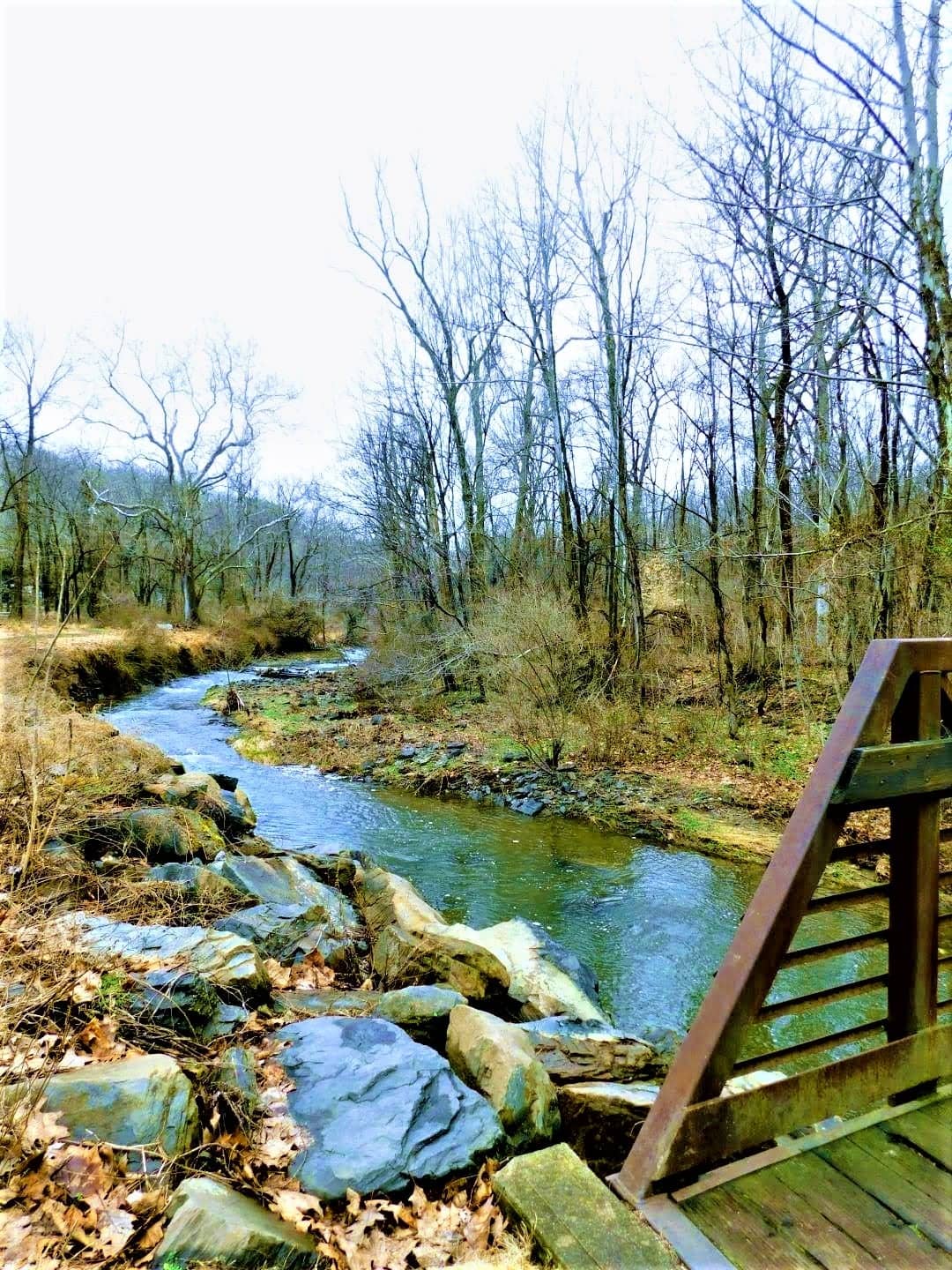 Scenic Walking Trails
