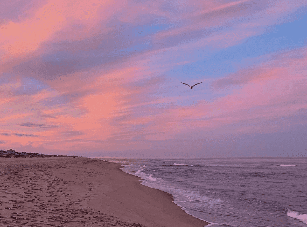 Sunset Strolls