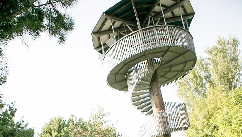 Observation Tower Views