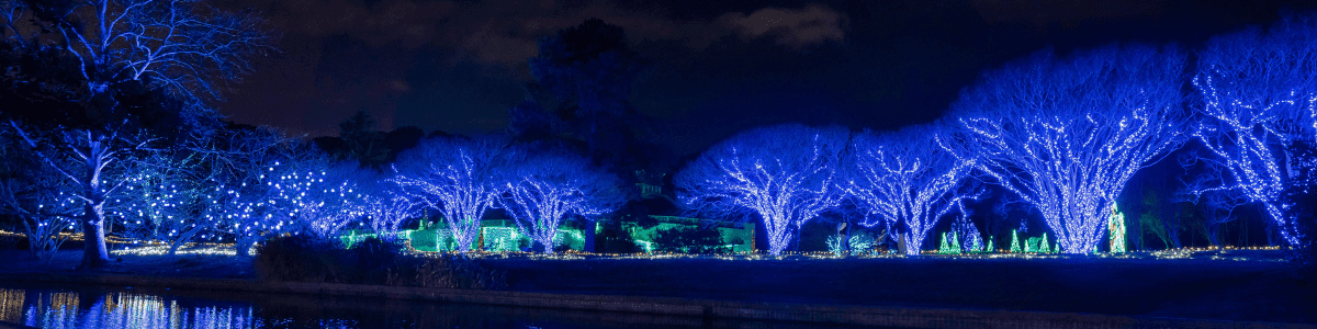 Dominion Energy Garden of Lights