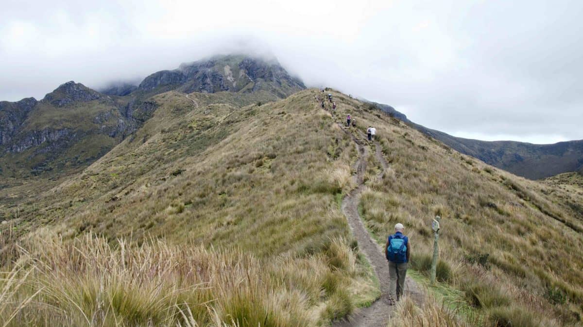 High-Altitude Hiking Trails