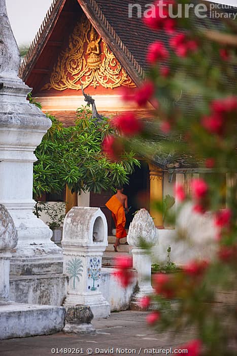Monastic Wisdom