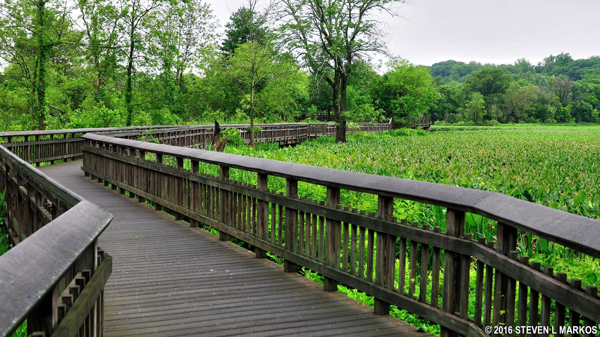 Boardwalk Trail