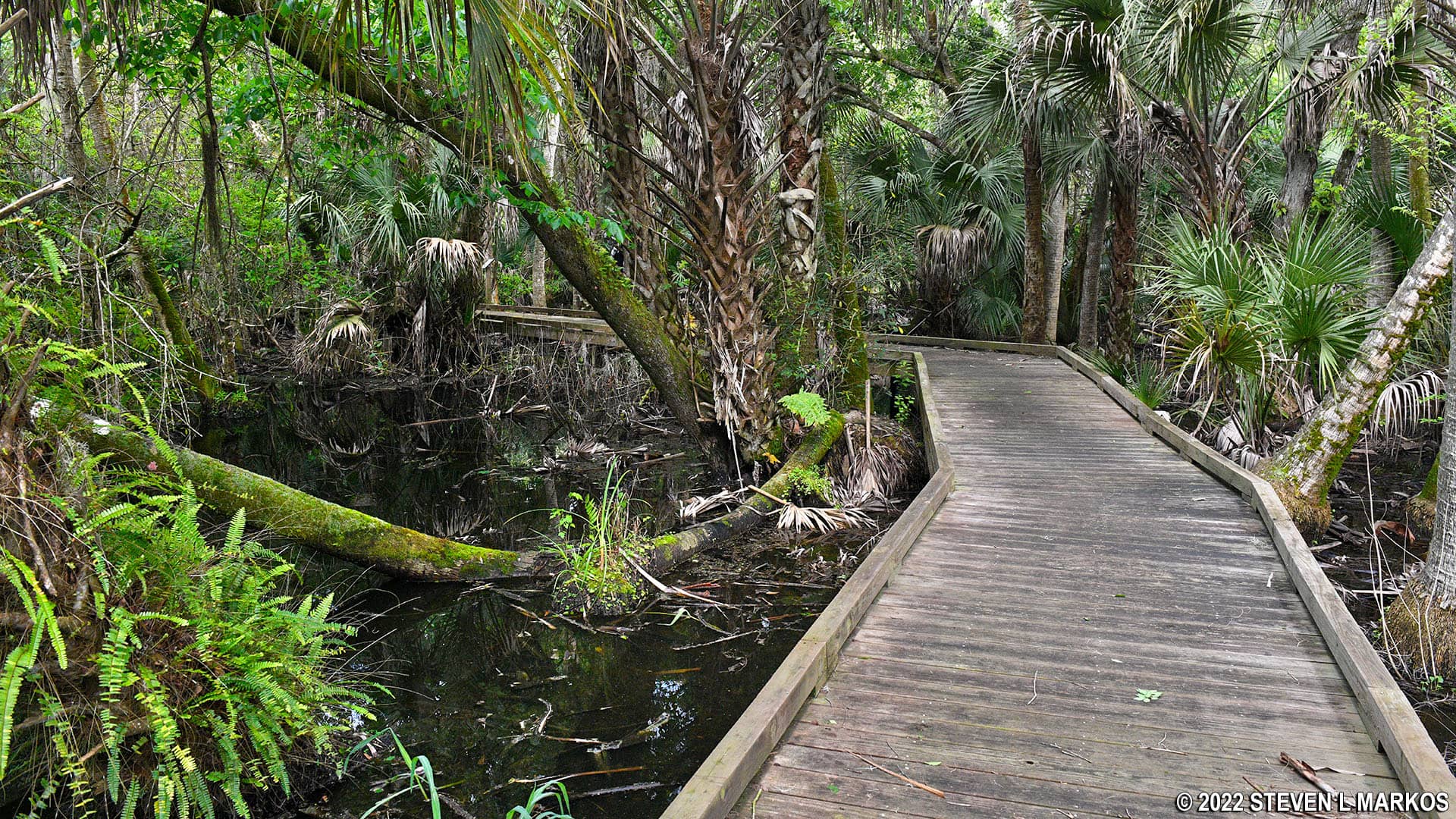Marsh Boardwalks
