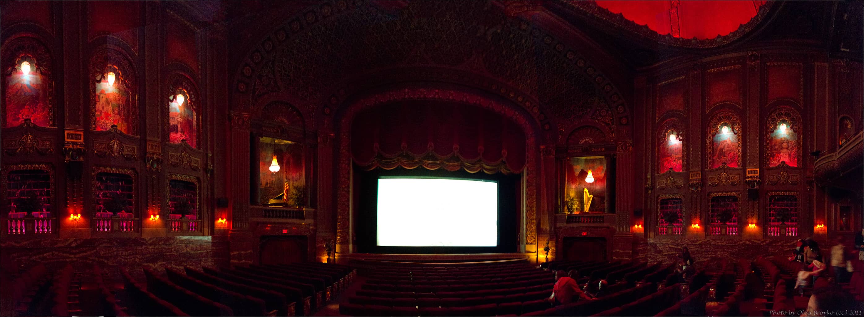 Live Organ Performance