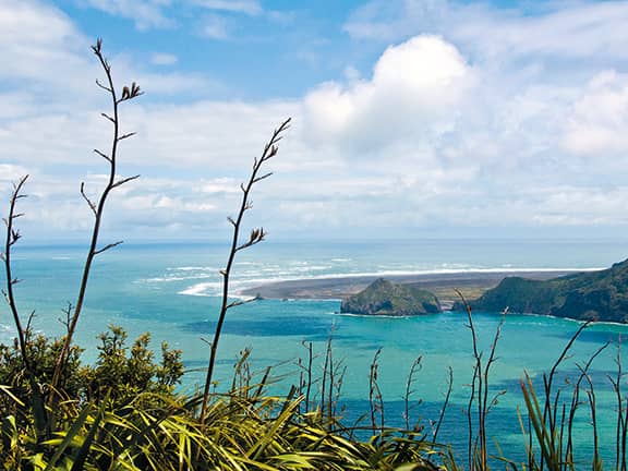 Scenic Coastal Drive