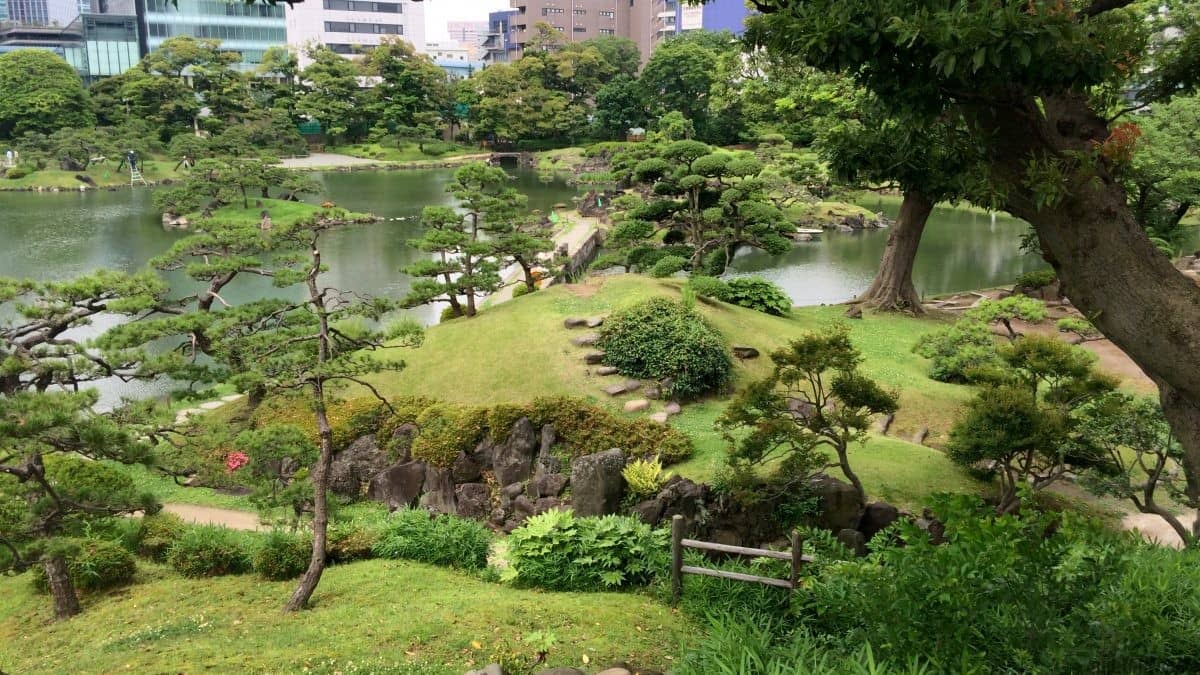 Minato City Backdrop
