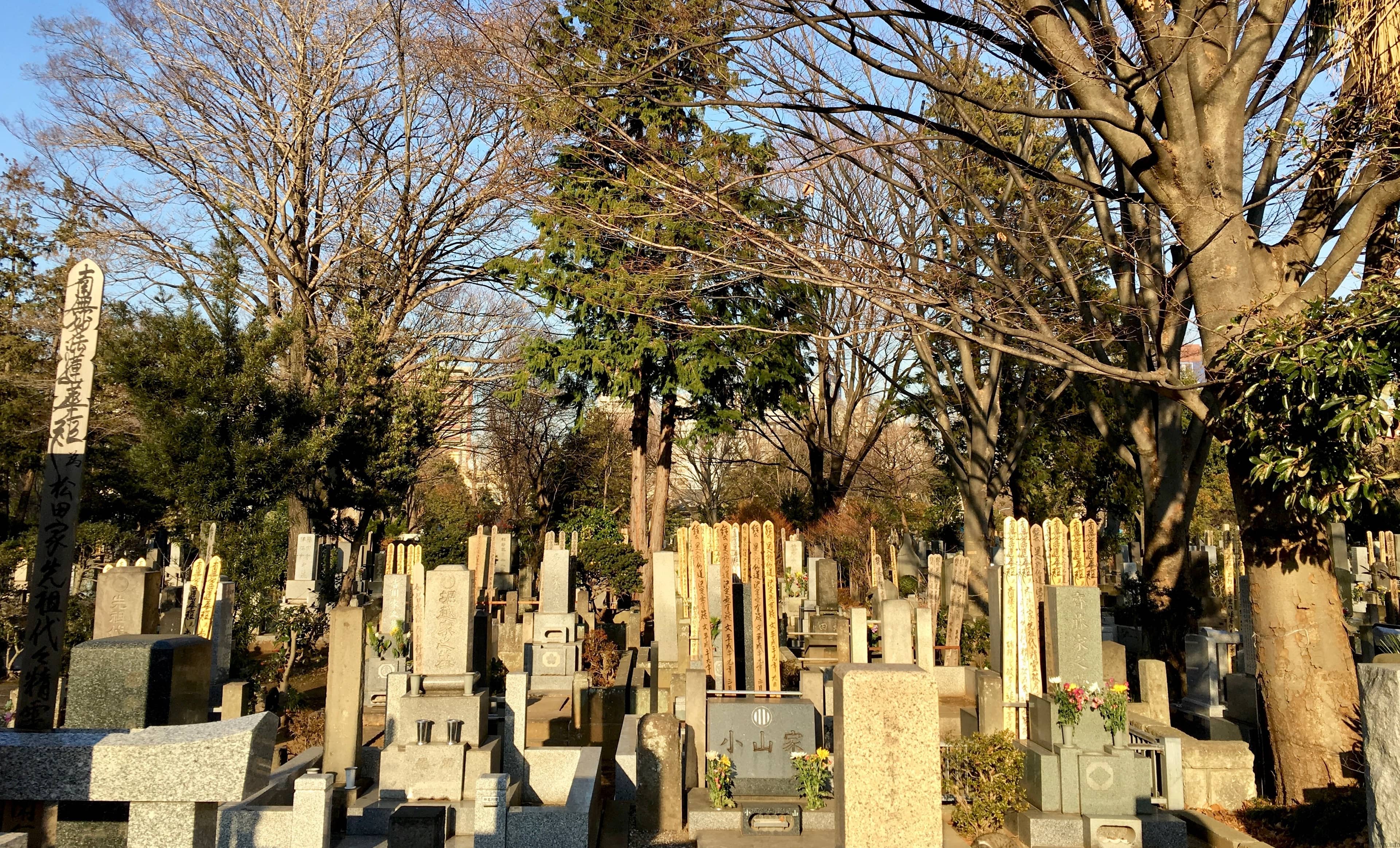 Historical Significance