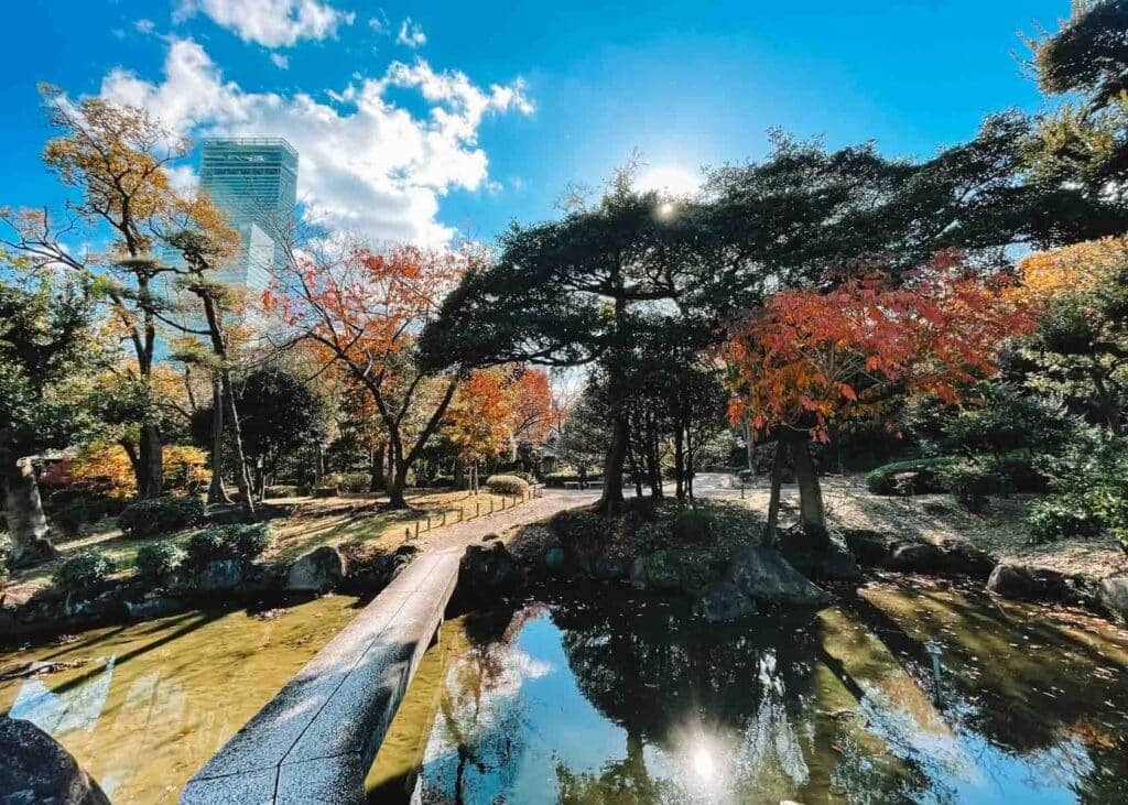 Native Flora and Landscaping