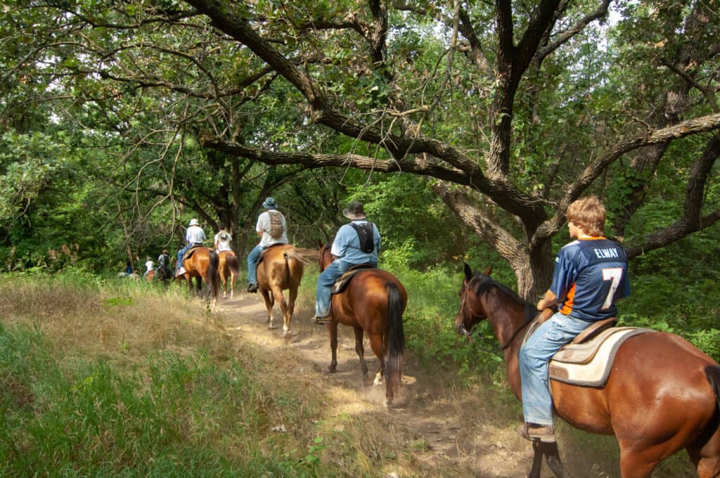 Horseback Riding Adventures