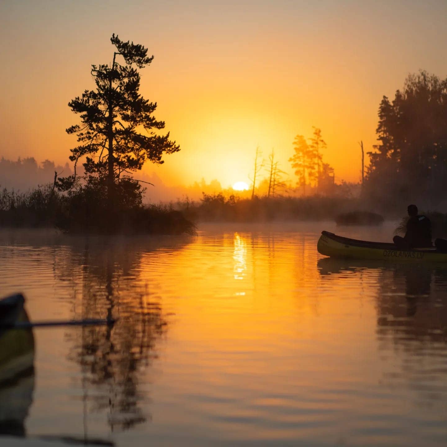 Sunrise Serenity