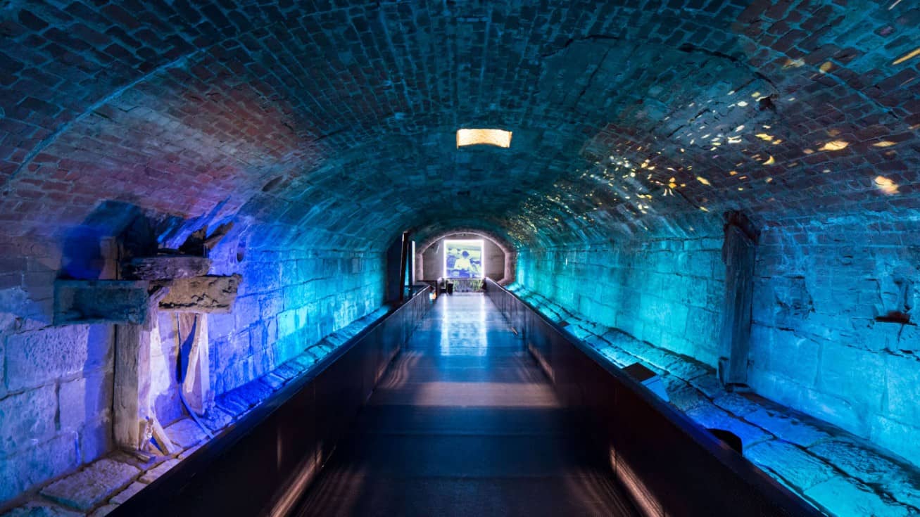Interactive & Temporary Exhibits
