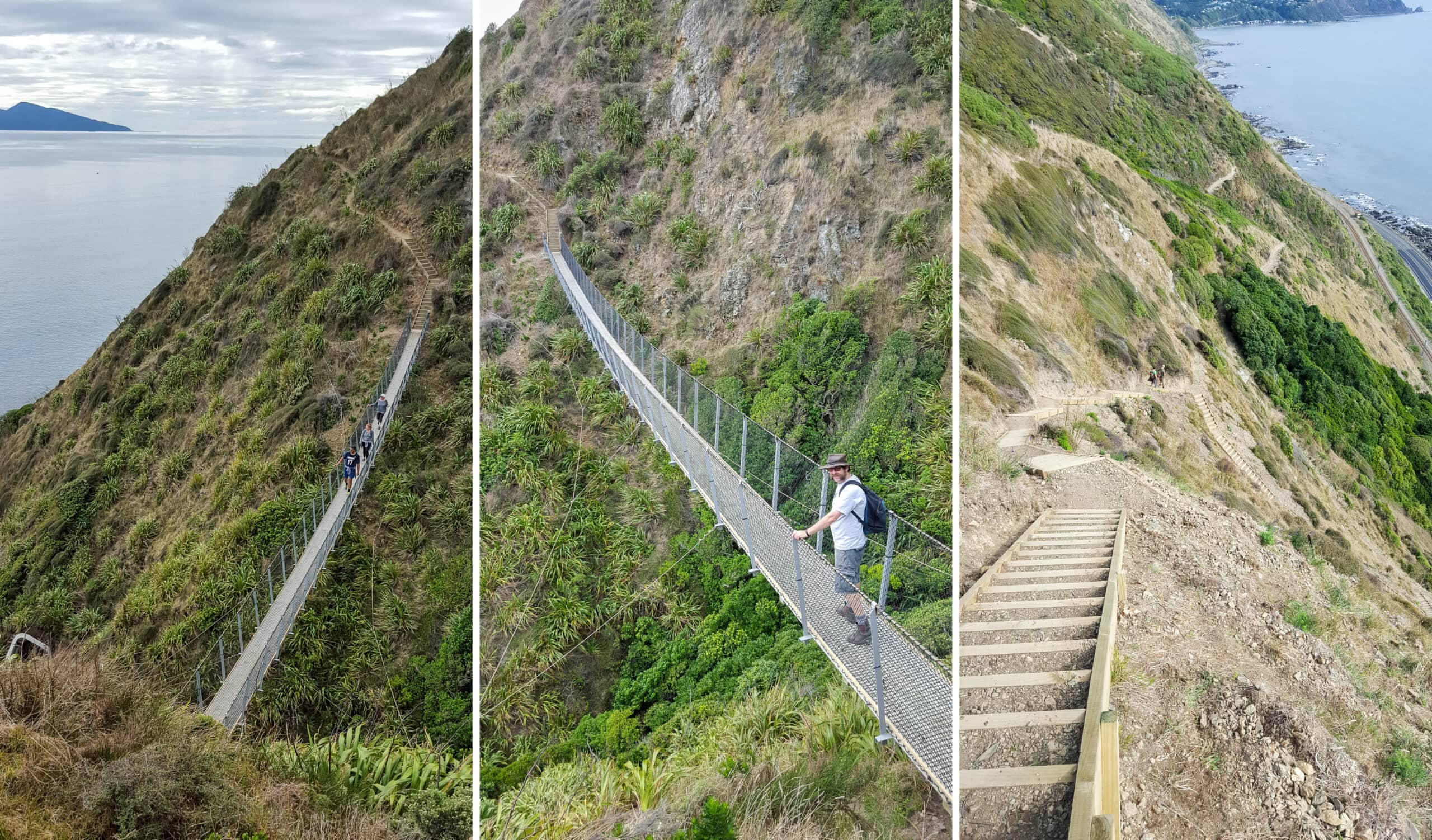 Suspension Bridge Thrills