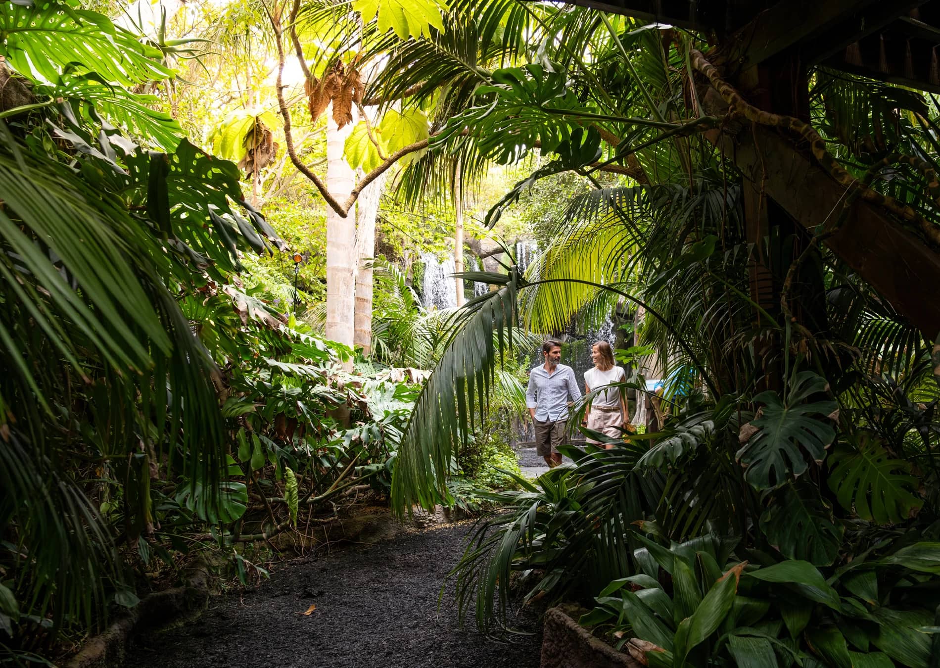 Jungle Micro-climate