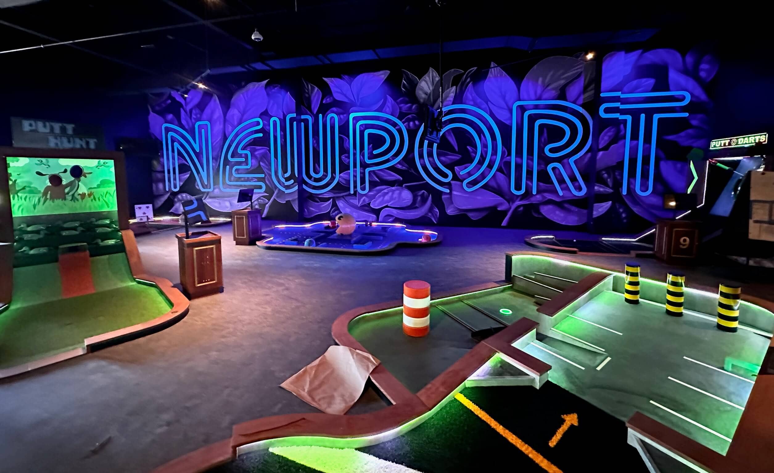 Par 3 Indoor Mini Golf