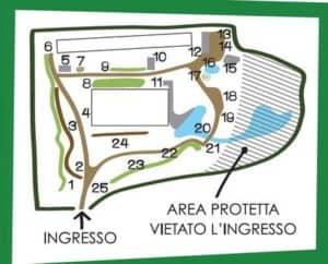 Waterways and Ponds