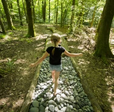 Raised Observation Walkways