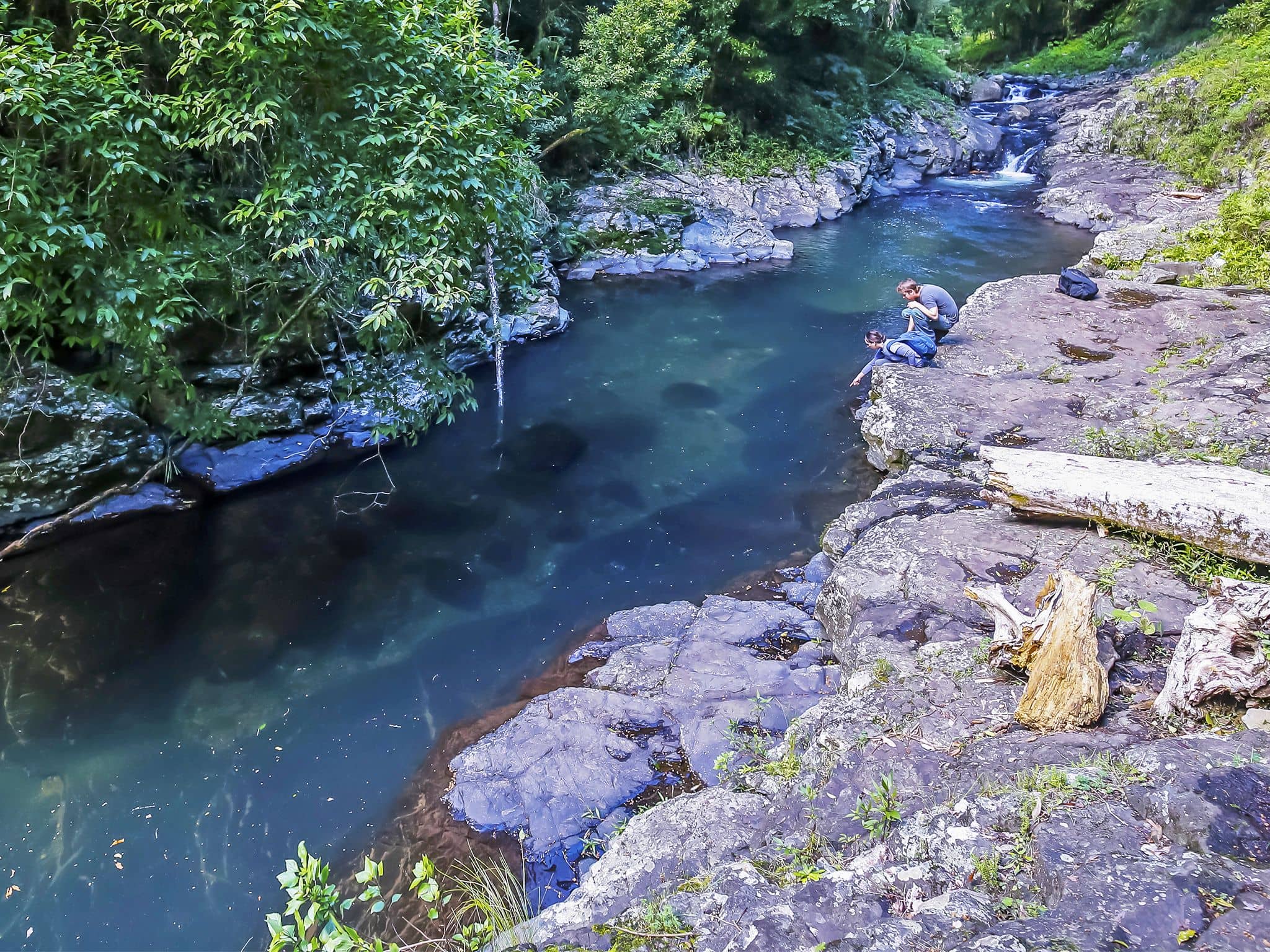 West Canungra Creek Circuit