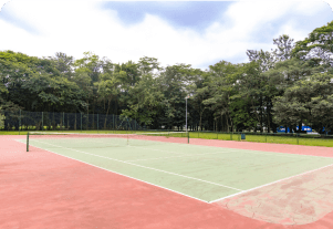 Sports and Recreation Areas