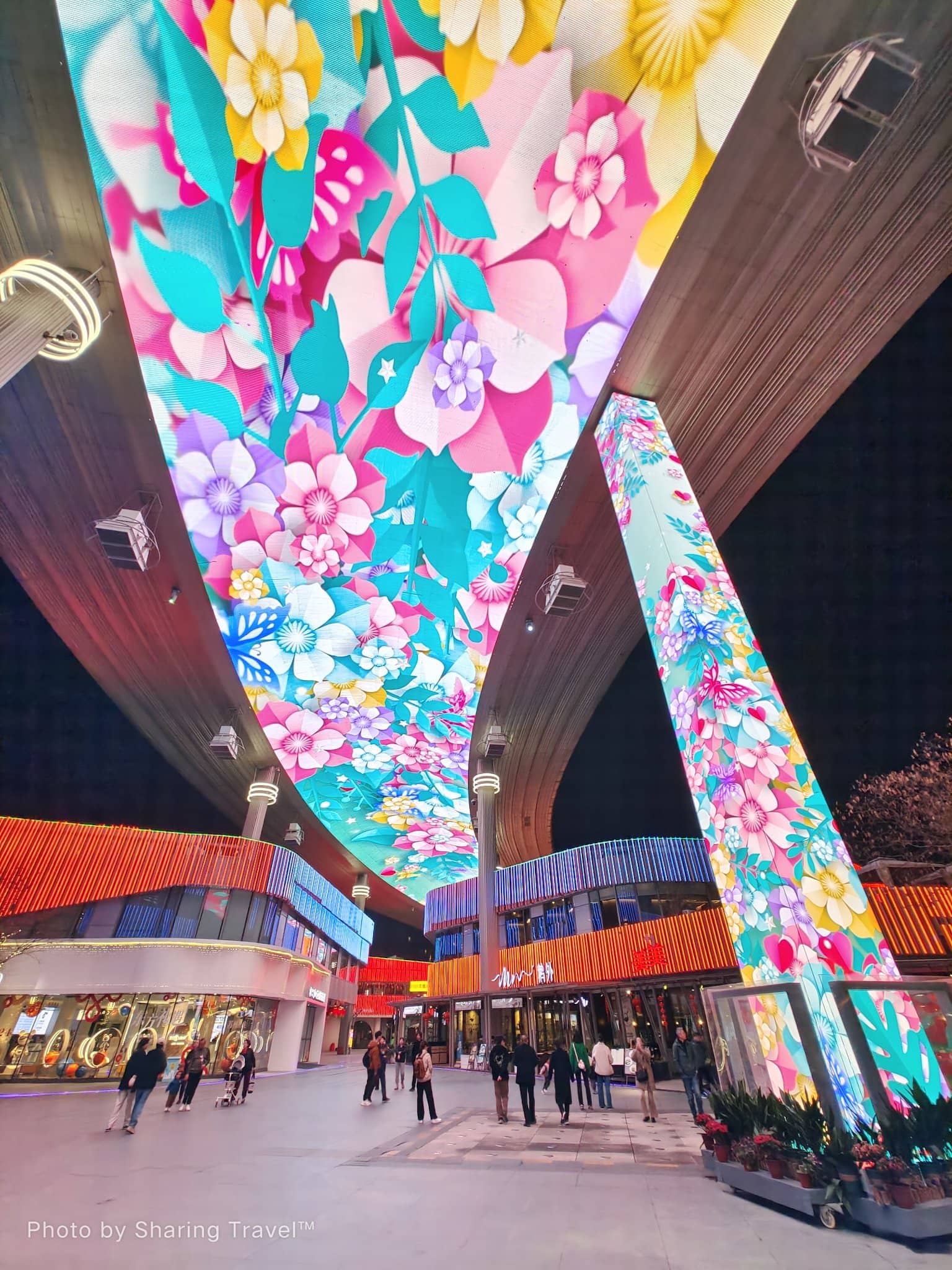 Themed Ceiling Art