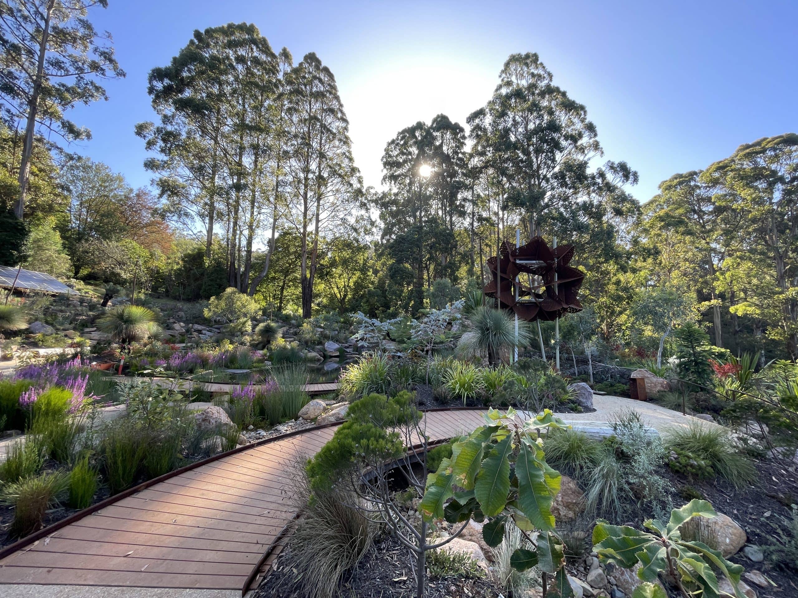 Chelsea Australian Garden