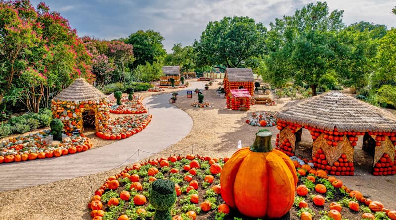 Taste of Texas Town