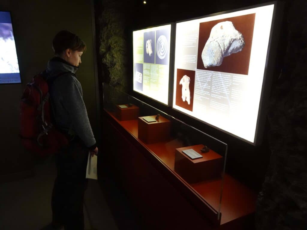 Interactive Displays & Videos