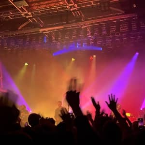 Live Music & Performances