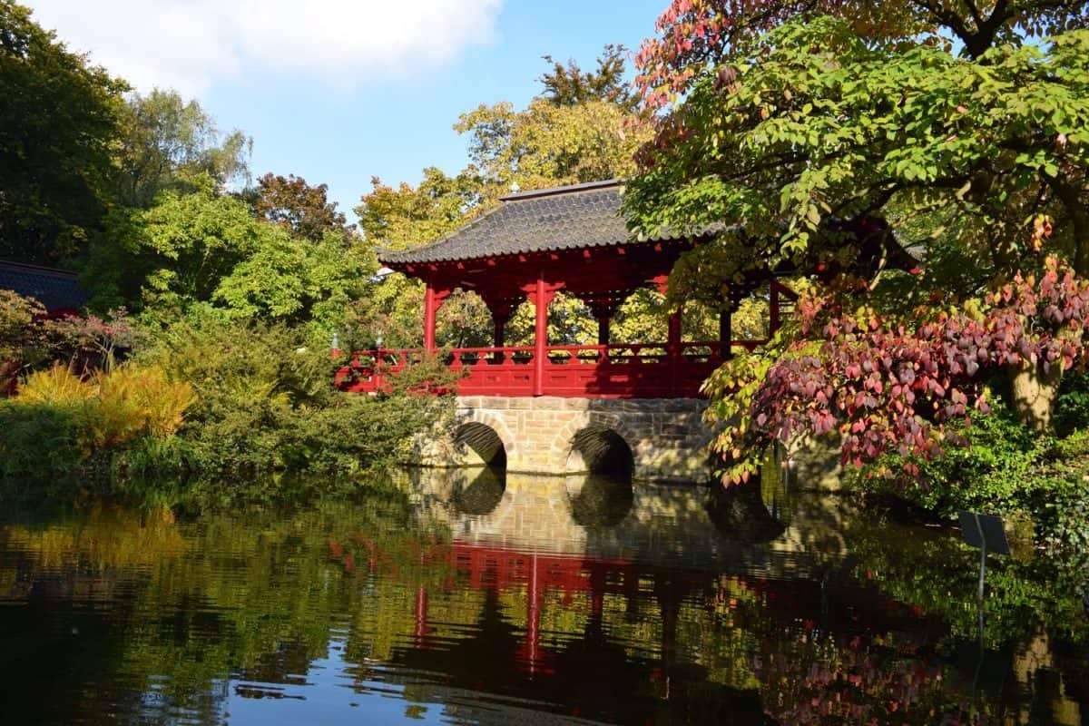 Zen Garden