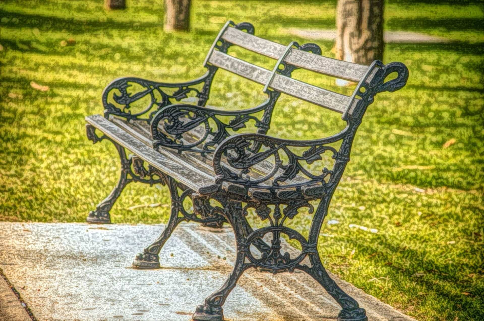 Sculptural Benches