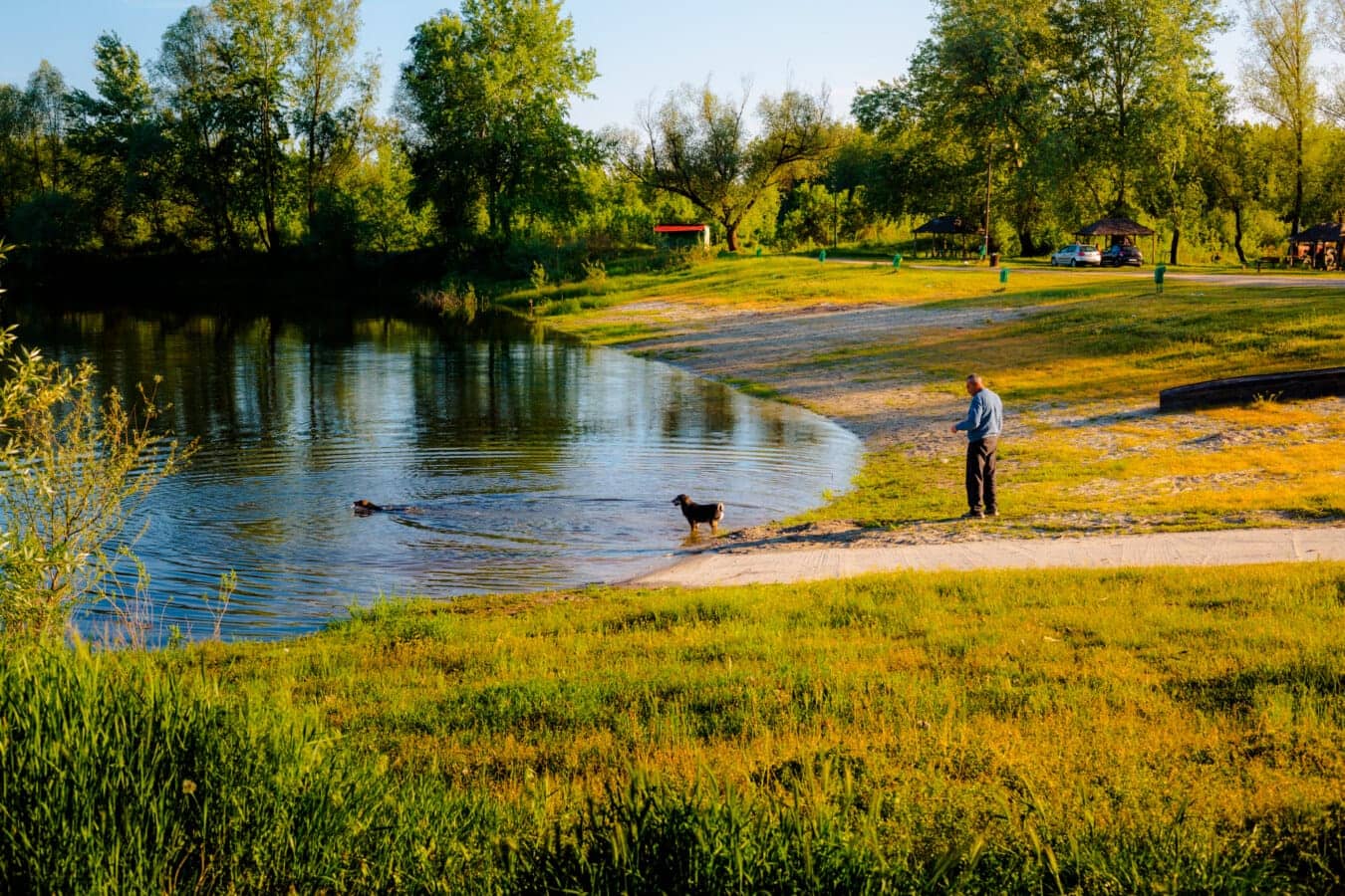 Trout Fishing Hotspot
