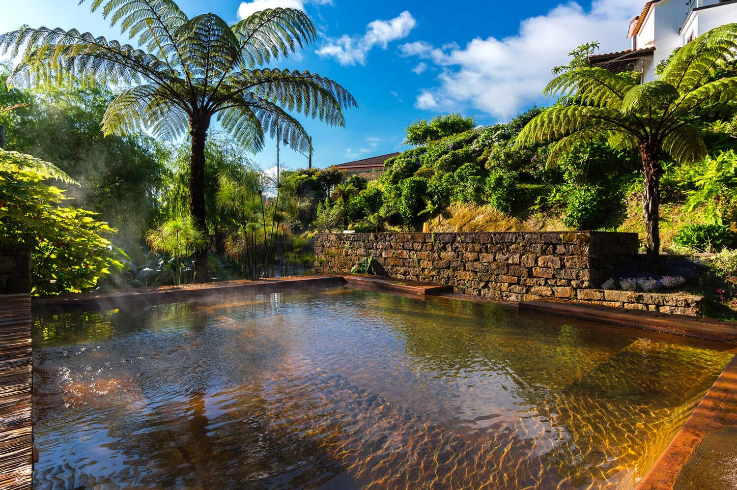 Lush Tropical Gardens