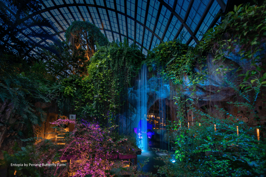 Biofluorescent Garden (Night)