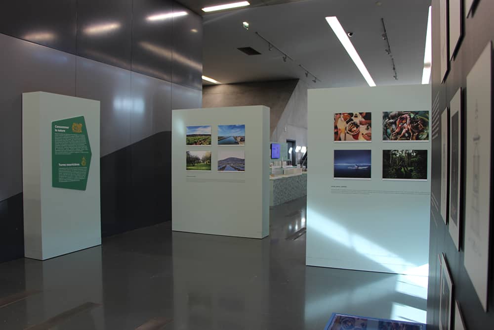 Diverse Exhibitions