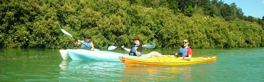 Estuary for Water Sports