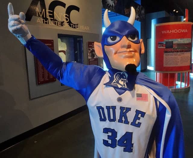 Mascot Displays